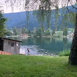 شقة Seebrauer In Feld Am By Interhome فلد ام سي