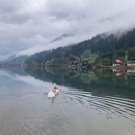 Seebrauer In Feld Am By Interhome Apartment Feld am See