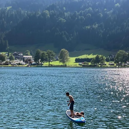 Seebrauer In Feld Am By Interhome * フェルト・アム・ゼー