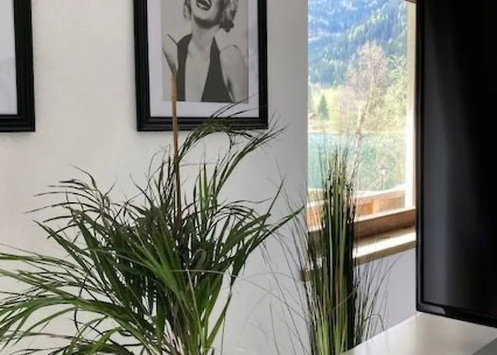 Seebrauer In Feld Am By Interhome * פלד אם סי