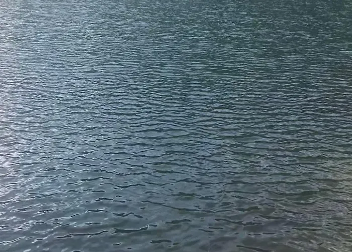 Seebrauer In Feld Am By Interhome * פלד אם סי