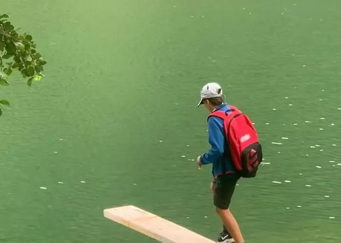 Apartment Seebrauer In Feld Am By Interhome Feld am See