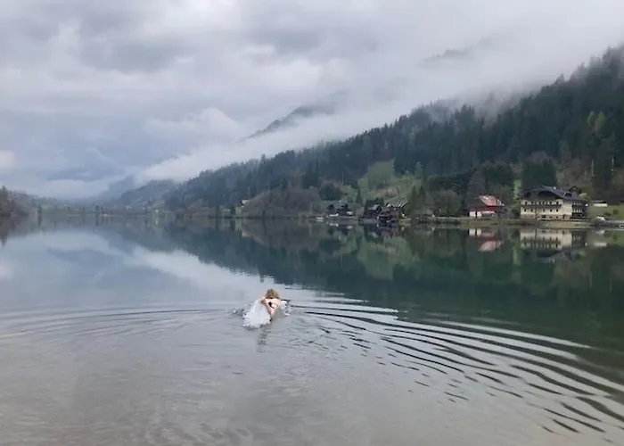 Seebrauer In Feld Am By Interhome Apartment Feld am See